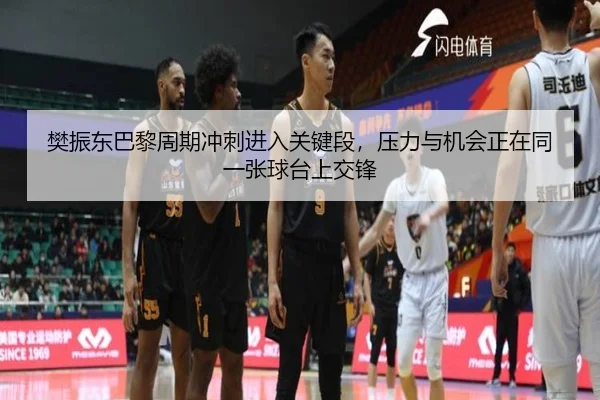 樊振东巴黎周期冲刺进入关键段，压力与机会正在同一张球台上交锋